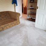Carpet cleaning result from Carpet Guru 3