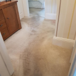 Carpet cleaning result from Carpet Guru 4