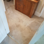 Carpet cleaning result from Carpet Guru 5