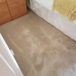 Carpet cleaning result from Carpet Guru 7