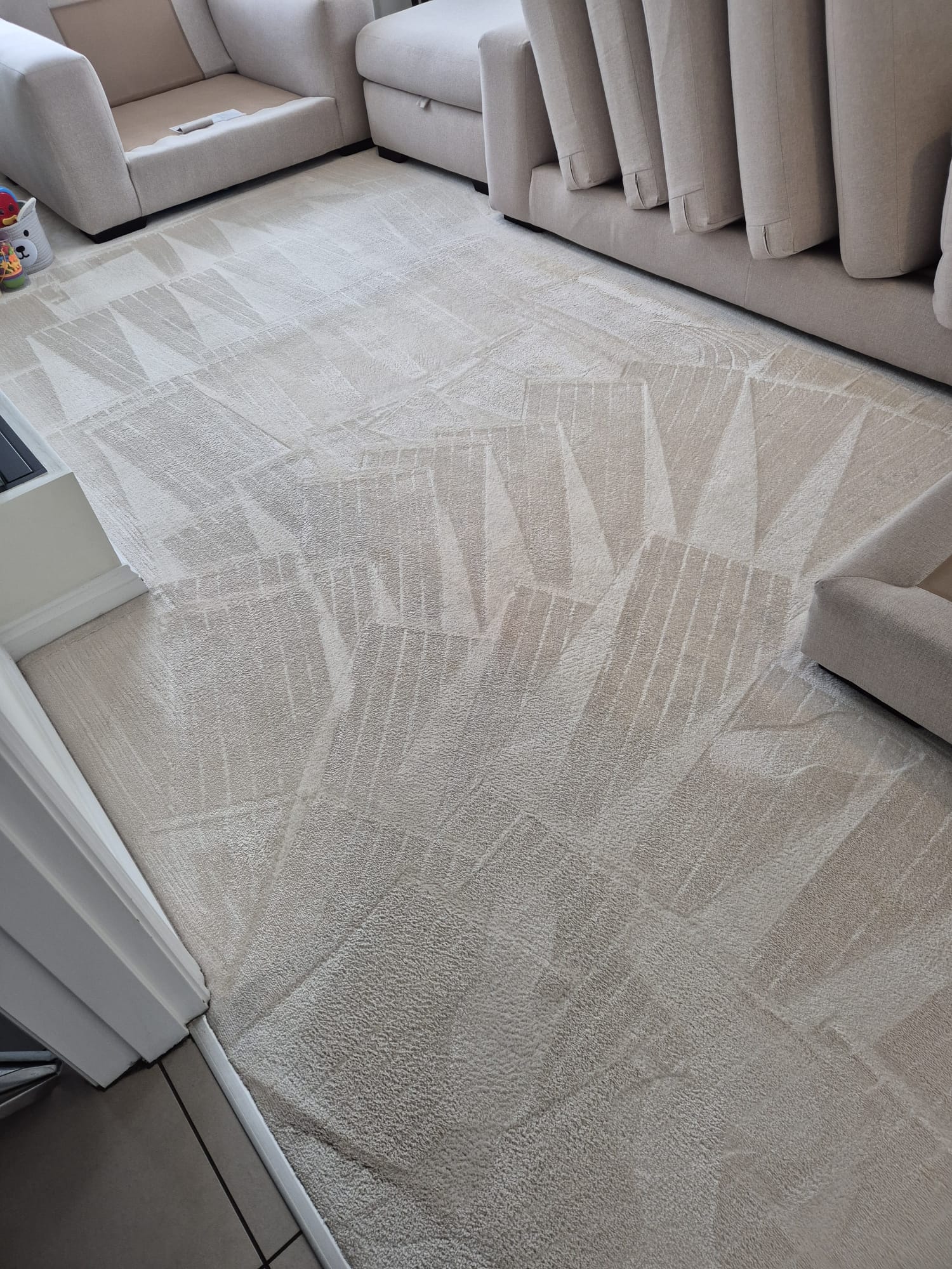 Rug & Stair Cleaning