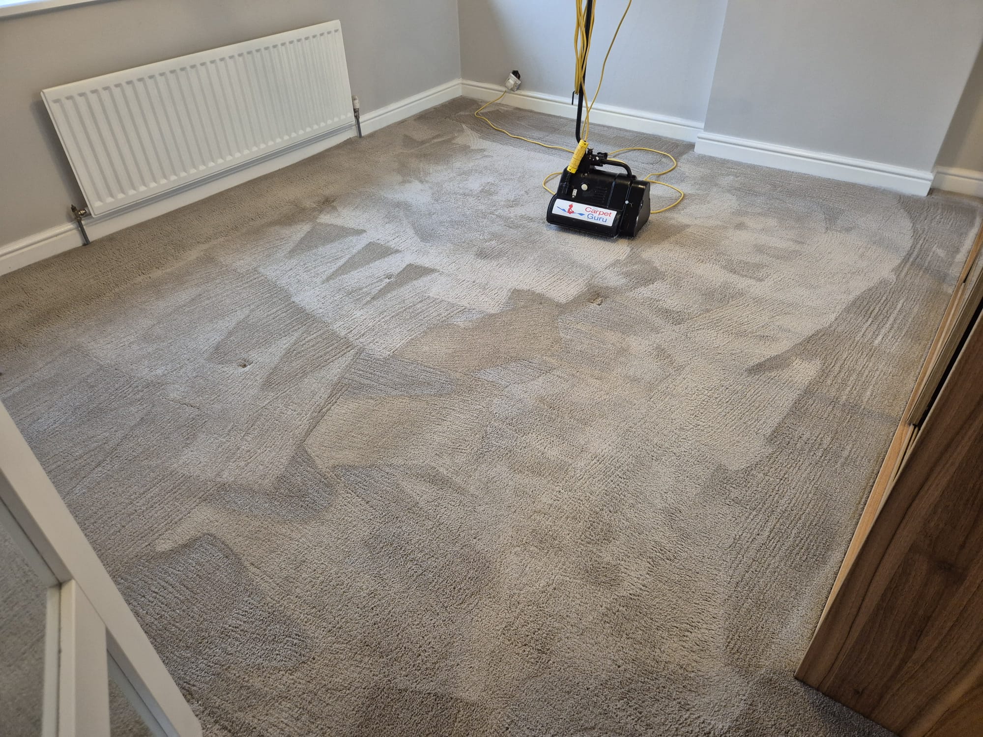 Rug cleaning service