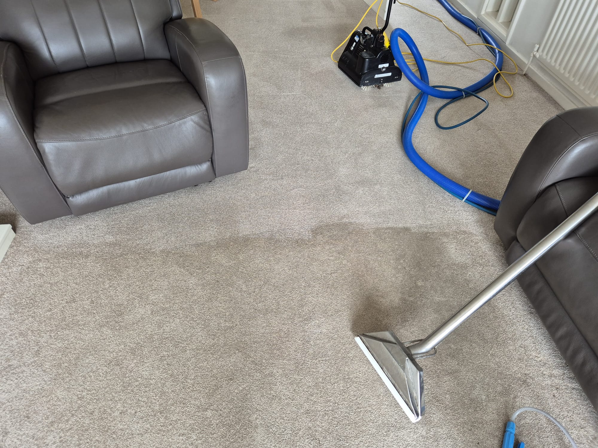 Carpet cleaning result from Carpet Guru 8